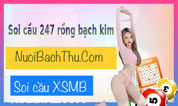 soi-cau-247-nuoi-khung-chot-so-bach-thu-an-thong-20-04